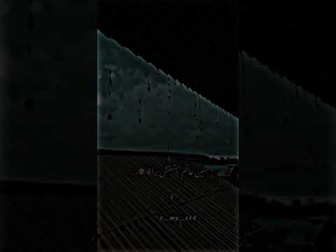 واي ف الدنيا دي دايم