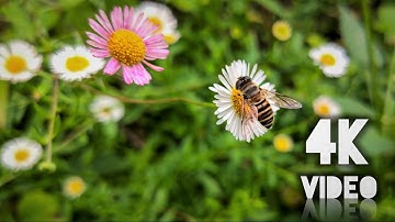 Xiaomi Redmi K20 PRO 4K 60FPS Video Shooting- Part 2