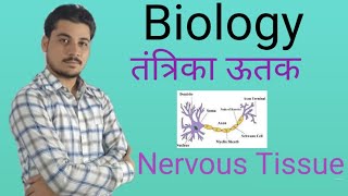 तंत्रिका ऊतक || Nervous Tissue || Easy way In Hindi