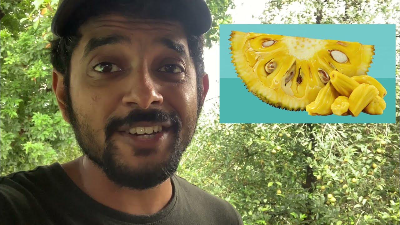 PREPARING JACKFRUIT Tips and Tricks with Naveen Richard YouTube