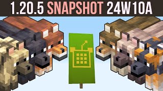 Thumbnail for Minecraft 1.20.5 Snapshot 24W10A | 8 New Wolves & Custom Banners!