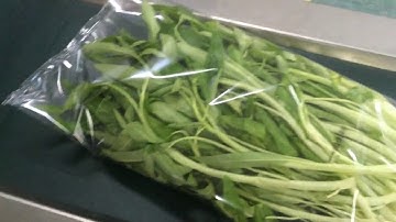 vegetables flow wrap flow pack machine with servo motor