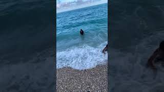 El mar Caribe Los patos de Barahona