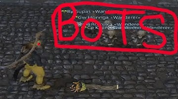 The Botters & Hackers of FFXIV