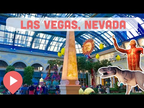 Vidéo: Les 10 meilleurs musées de Las Vegas