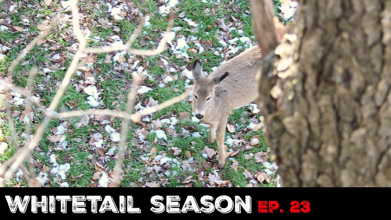 ARCHERY HUNTING the RUT in Pennsylvania (Rut Vacation Ep. 6)