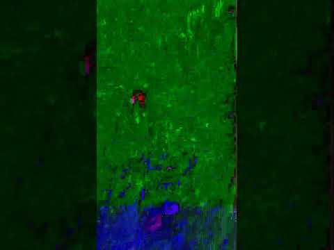 #happynewyear #fireworks #shortvideo #shorts happy new year to all!!! 🎇🎇