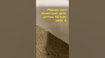 Making ugly transitions until hitting 50 subs #roadto50subs #transtion #wall #walterwhite #shorts
