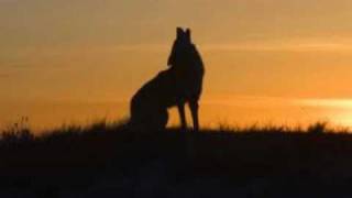 JOHNNIE RAY - BURY ME OUT ON THE LONE PRAIRIE chords