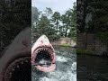 Jaws🦈#universal #ユニバ #ユニバーサルスタジオジャパン #ジョーズ #サメ #遊園地 #乗り物