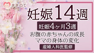 【妊娠14週】いよいよ妊娠中期！鼻炎の症状が悪化？マイナートラブルを感じた時の過ごし方と注意点｜産婦人科医監修