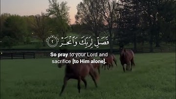 سورة الكوثر بصوت القارئ الشيخ أحمد العجمي