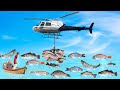 हेलीकाप्टर मछली का शिकार Helicopter Fish Hunting Comedy Video हिदी कहानिय Hindi Kahaniya Funny Story