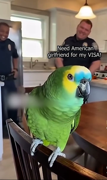 Coco wants to date officer’s daughter