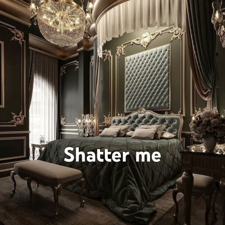 #book #booktokers #bookseries #shatterme #itendswithus #funny #room #roomtour #bookrecommendations