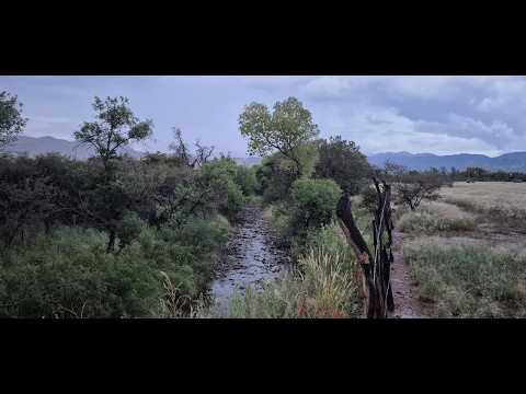 Water tank along the creek. Birding Chiricahua mountains south eastern Arizona.