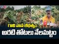 గాలి వాన బీభత్సం..Farmer Lost Banana Crop Due To Rain In Ananthapuram District | TV5 News