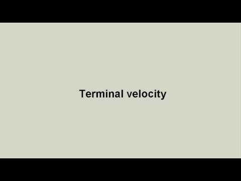 Physics Stokes Law Experimental Determination Of Terminal Velocity