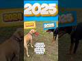 2025 2025