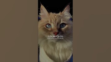 القران الكريم راحة نفسية تلاوة خاشعة حالات واتساب قران كريم 💙🩵💜