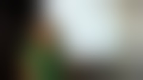 What Are The Different Levels of Numis Network?