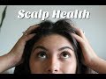 How To Maintain A Healthy Scalp