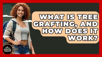 What Is Tree Grafting, And How Does It Work? - Exploring Campgrounds