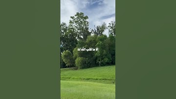 قران كريم 🌺🌸 ارح سمعك 🥹🌺 #viral #اكسبلور #قران_كريم #راحة_نفسية #like #follow