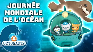Octonauts - 🌊 Journée mondiale de l'océan 🌎 | Compilation | Dessins animés pour enfants