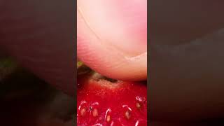 Her Şeye Yakından Bak Resimi