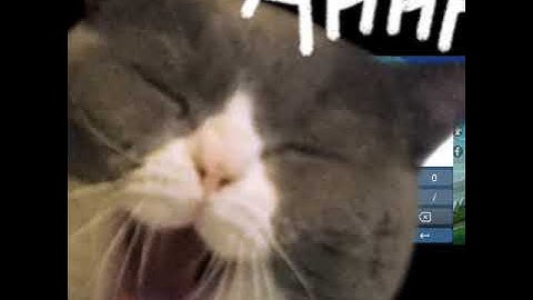 The Legend of Neverland Account Missing (Tutorial)