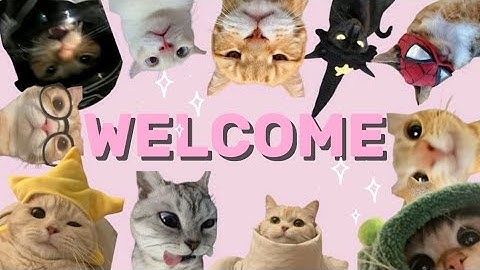 Tugas vidio tutorial instalasi, JDK Dan Android Studio sampai running aplikasi pertamahello word