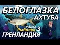 Белоглазка Ахтуба / РР3 [ Русская рыбалка 3.9 Гренландия]