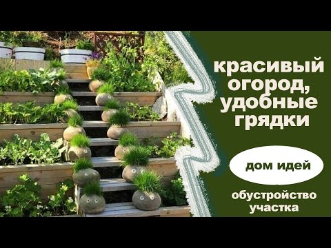 Как сделать красивые грядки своими руками