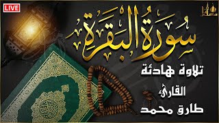 سورة البقرة كاملة لحفظ وتحصين المنزل وجلب البركة تلاوة عذبة للقارئ طارق محمد Sourah Baqara