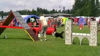 100722 Algot Agilityklass 3.wmv