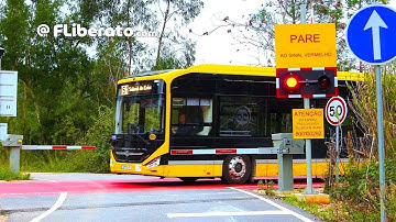 Meias barreiras das PN no troço suburbano do Sistema de Mobilidade do Mondego