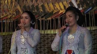 LIMBUKAN WAYANG KULIT DALANG KI TANTUT SUTANTO// LAKON : PRABU SOSRO WINDU LENO // LIVE JUWANA