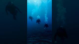 Underwater Beauty 🌊Nature’s beauty captured in the world of fishes #fish #shorts #shortvideo