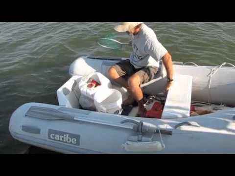 Chesapeake Crabber