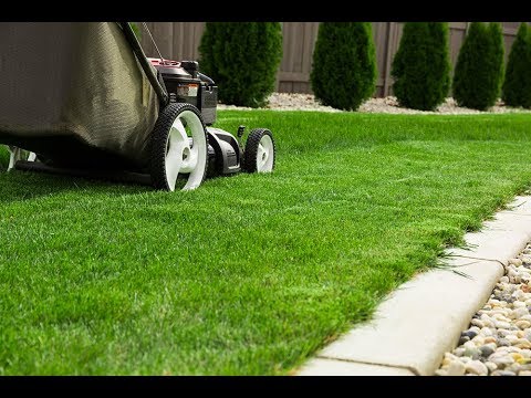 Video: Hestgødning Som Gødning: Hvordan Påføres Og Gødes Jorden? Hvilke Planter Er Det Godt For? Hvad Er Bedre End En Ko? Topdressing Om Efteråret Og Foråret