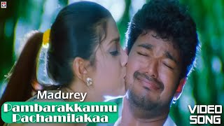 Video thumbnail of "Pambarakkannu Pachamilakaa Hd Video Song | Madurey Tamil Movie | Vijay | Sonia Agarwal | Vidhyasagar"