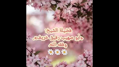 الشيخ رفيق خريف 🌼 تلاوة فجرية تقشعر لها الأبدان 🌼 ما تيسر من سورة يس،مسجد الناصرية بوزريعة 🌼