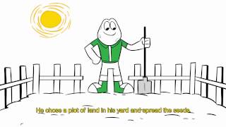 What Is Sr. Sapos New Hobby? Pasatiempo Del Sr. Sapo