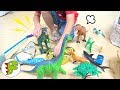 恐竜の人形で遊ぼう！Sharks and dinosaur doll piay！トイキッズ