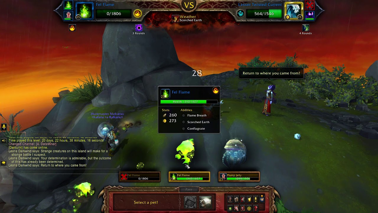 Wow pet battle Defeat leana darkwind