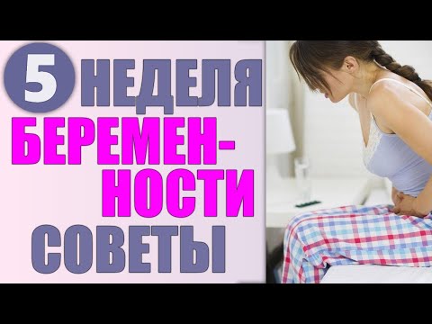 ПЯТАЯ НЕДЕЛЯ БЕРЕМЕННОСТИ | Что нужно знать и что делать во время 5 недели беременности