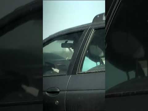 Vidéo : Comportement à risque