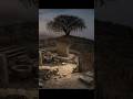 Göbeklitepe’nin Altındaki Nefes | What Breathes Beneath  #history #horrorstories #göbeklitepe