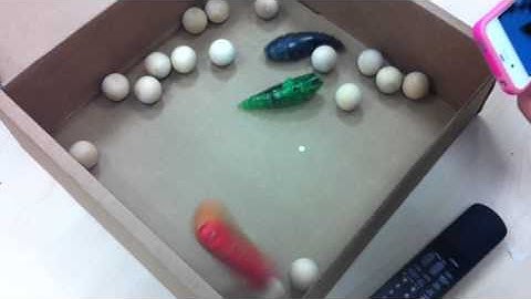 HEXBUG Larva vs. Catapy